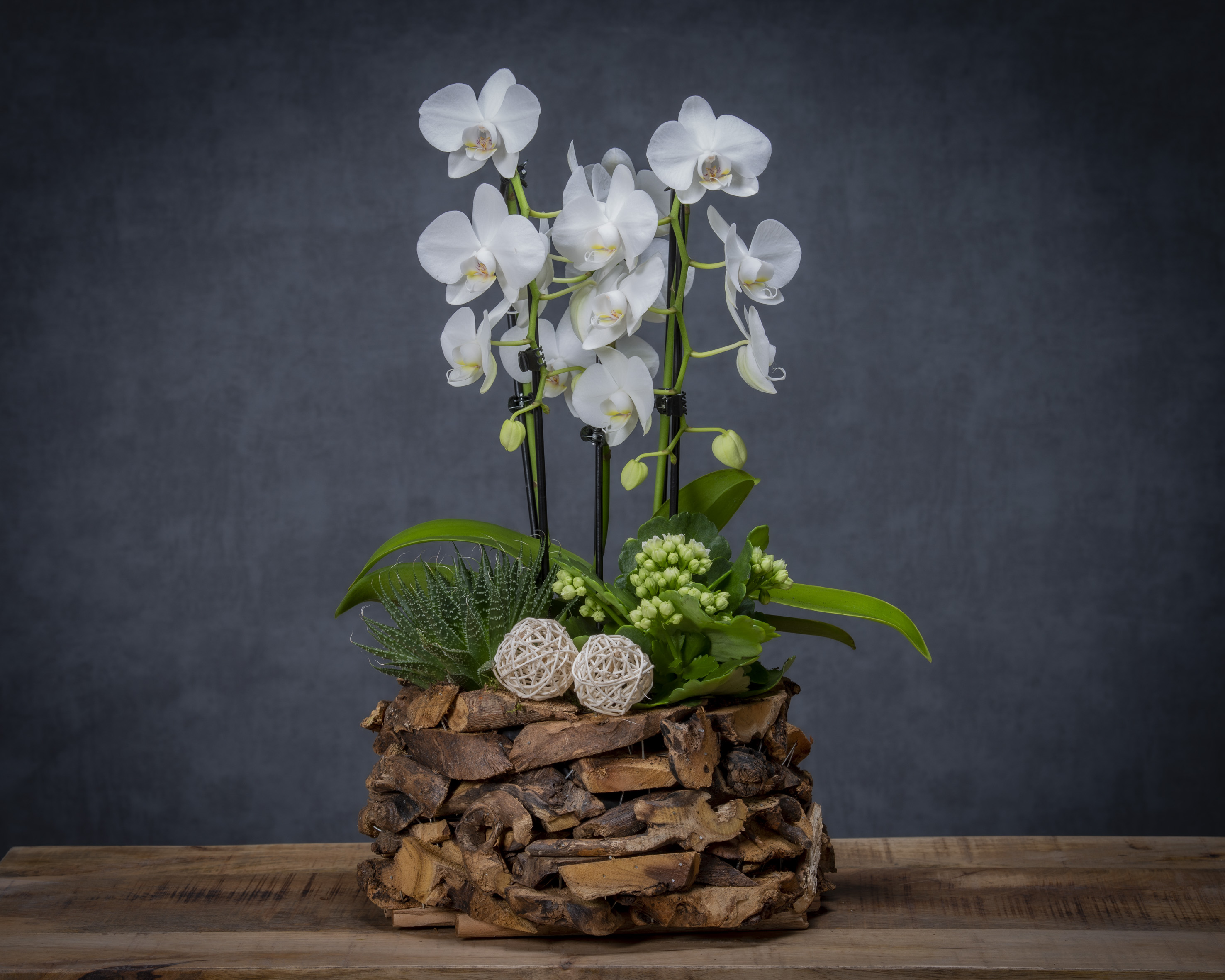 Orchidee-arrangement
